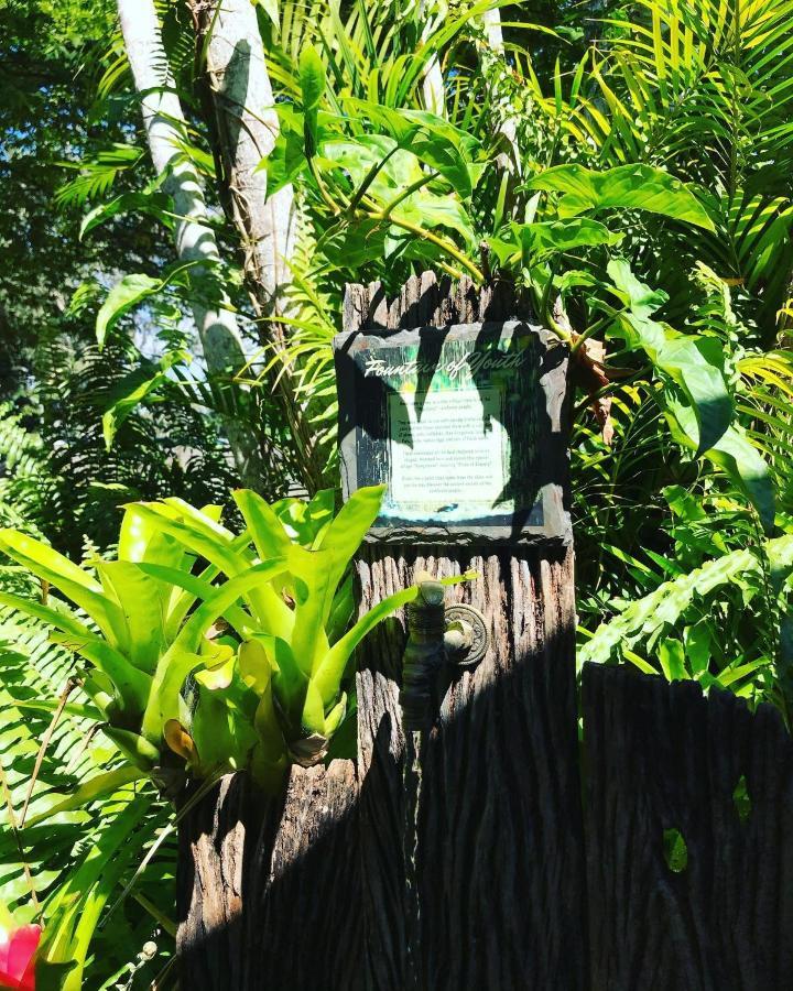 On The Wallaby Eco Lodge Yungaburra Exterior foto