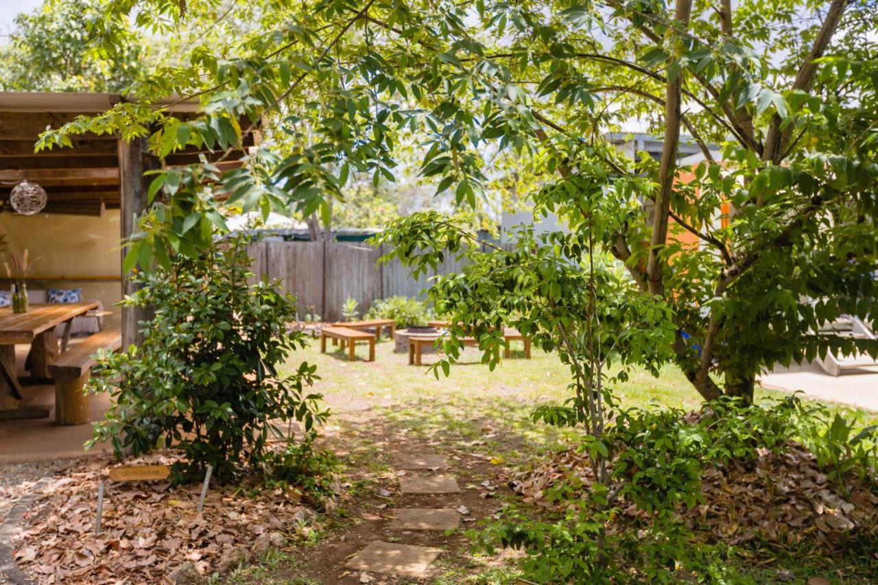 On The Wallaby Eco Lodge Yungaburra Exterior foto
