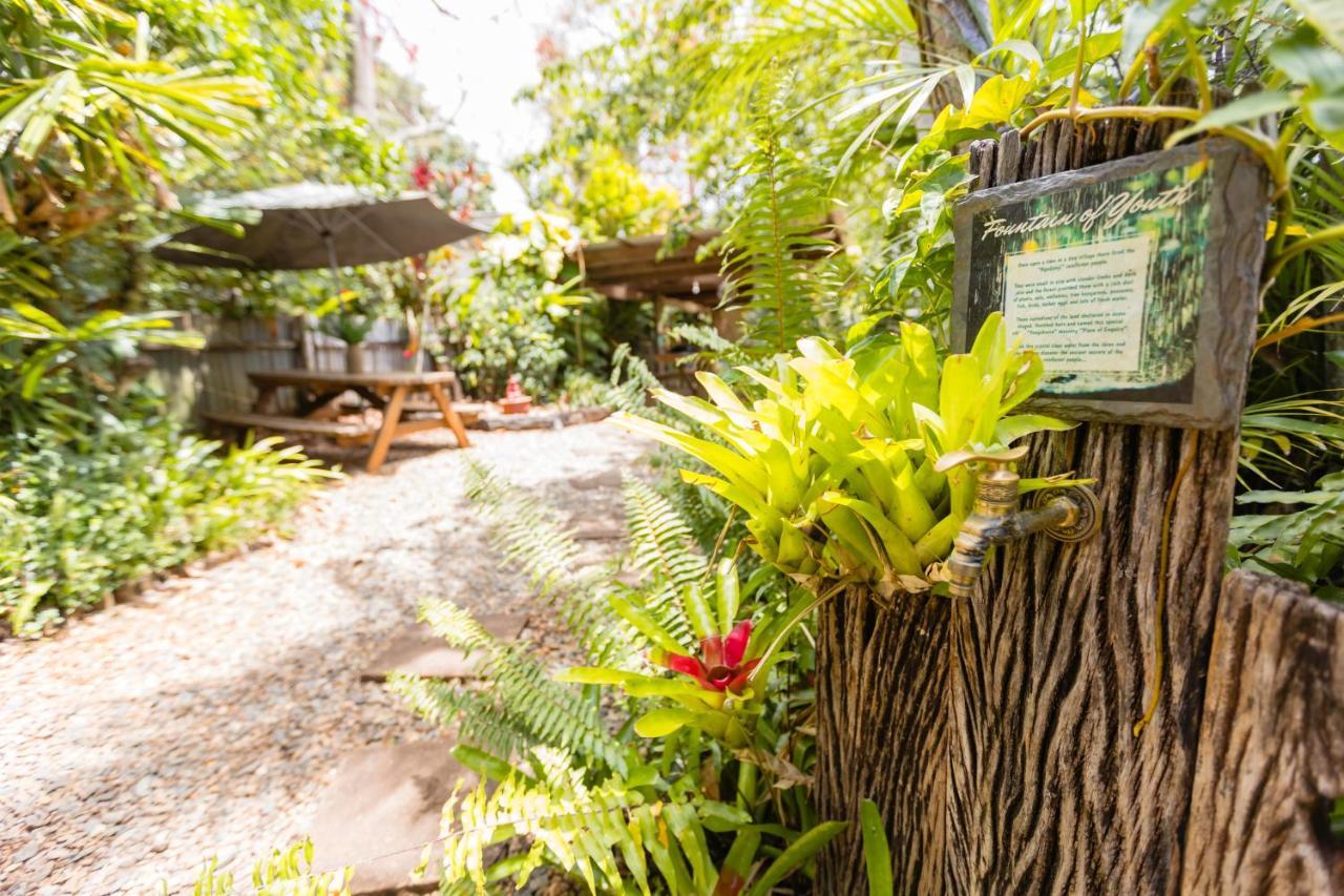 On The Wallaby Eco Lodge Yungaburra Exterior foto