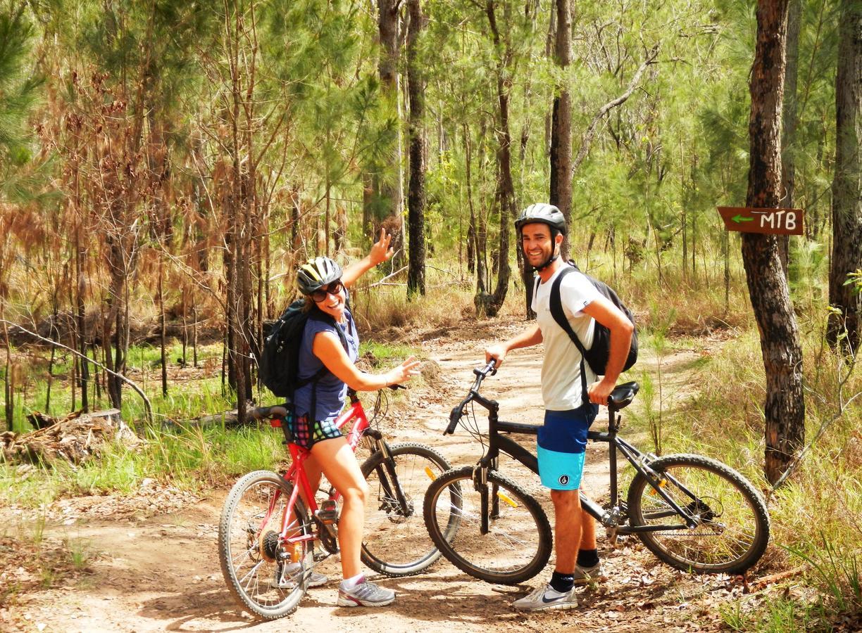 On The Wallaby Eco Lodge Yungaburra Exterior foto